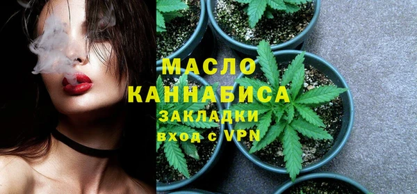 гидра Медногорск