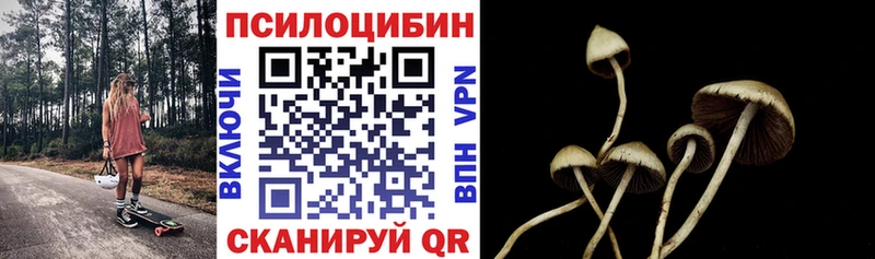 Псилоцибиновые грибы Magic Shrooms  продажа наркотиков  Юрюзань 